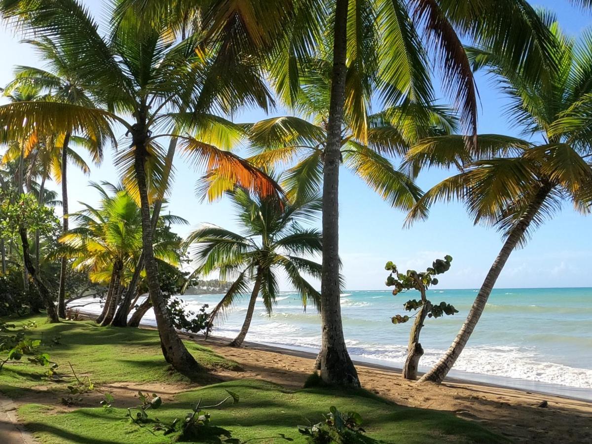 Hotel Bahia Punta Bonita ลาสแตร์เรนาส ภายนอก รูปภาพ